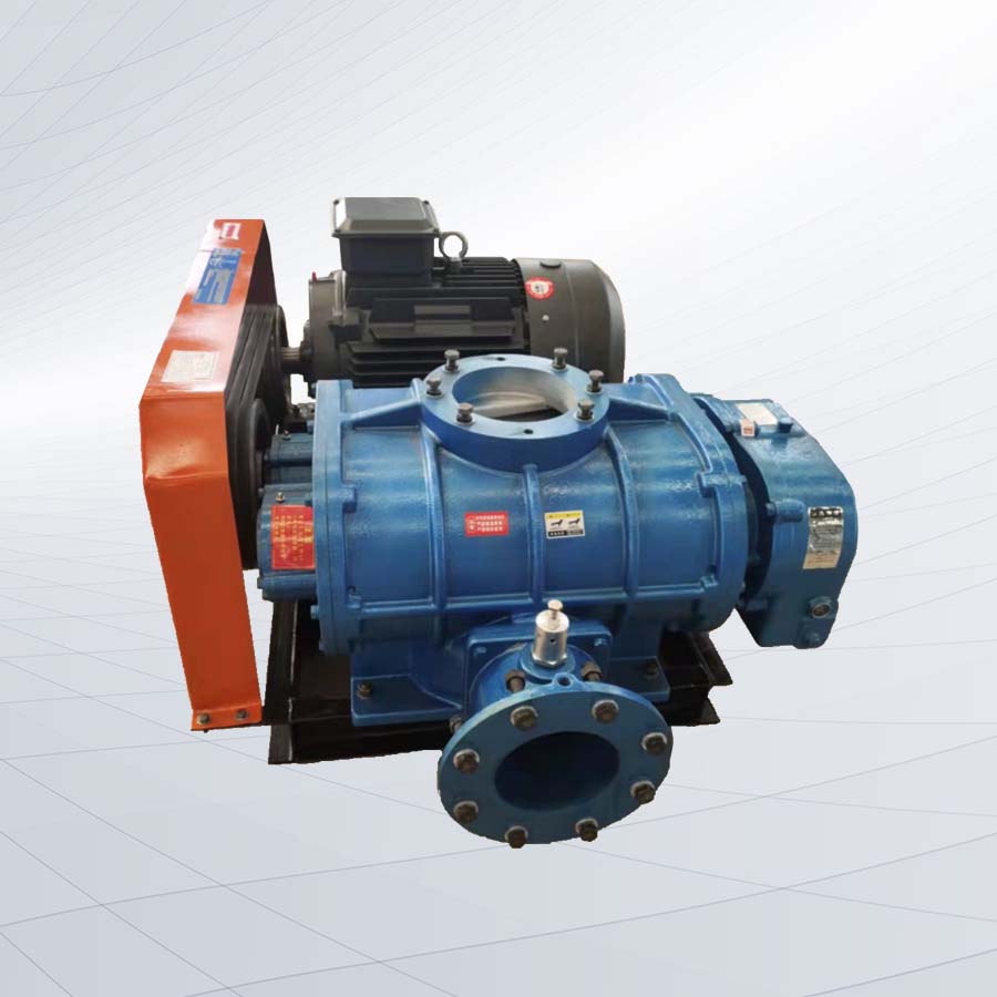 L82DT兩葉羅茨鼓風機